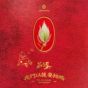 哔哩哔哩高清观看免费网站大全
